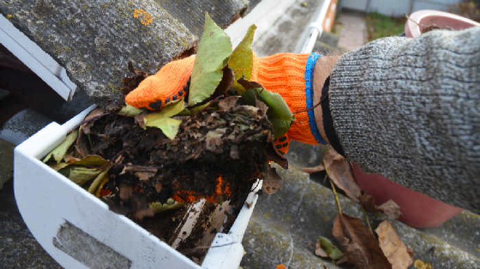 Gutter Cleaning